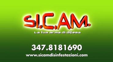SI.C.AM. Disinfestazioni Sardegna  - Foto 2