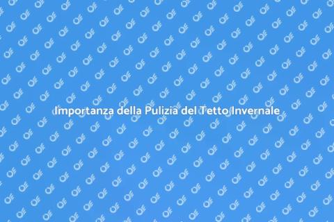 Pulizia del Tetto in Inverno Sicura