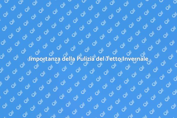 Tetto Sicuro: Pulizia Invernale Essenziale