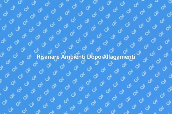 Interventi Efficaci per Ambienti Allagati