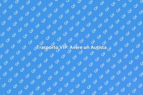 Servizi di Autista per Trasporto VIP