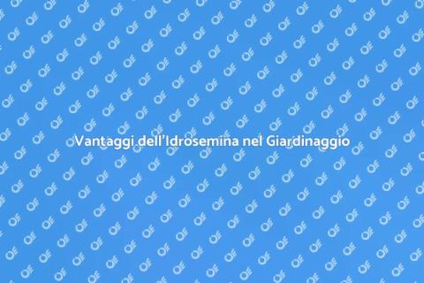 Idrosemina: Trasforma il Tuo Giardino