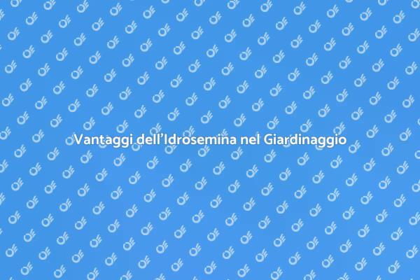 Idrosemina: La Nuova Frontiera del Giardinaggio