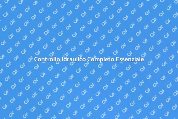Perché Eseguire un'Ispezione Idraulica