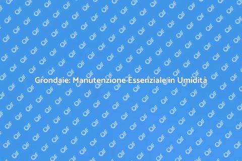 Manutenzione Grondaie in Alta Umidità