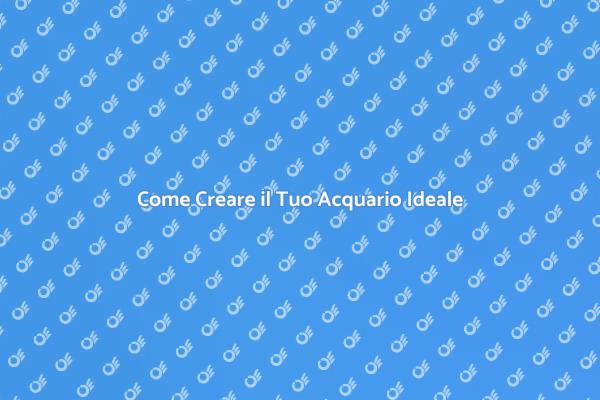 Progettazione di Acquari: Guida Completa