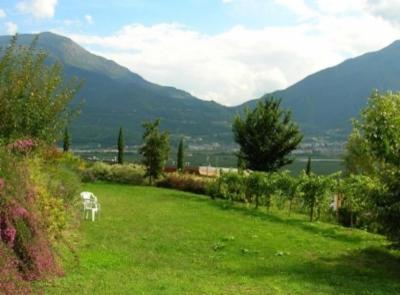 Giardinaggio Green Heaven  - Foto 6