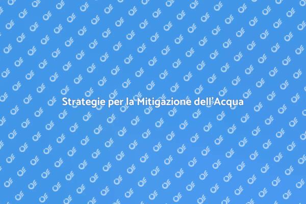 Affrontare le Inondazioni con Sostenibilità