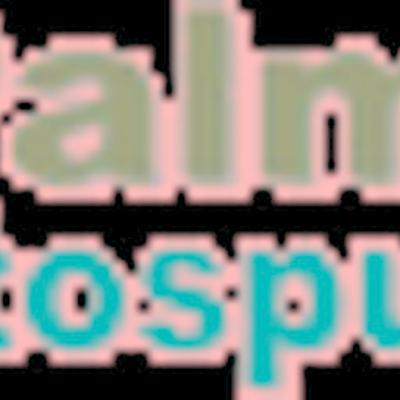 Palma Autospurghi