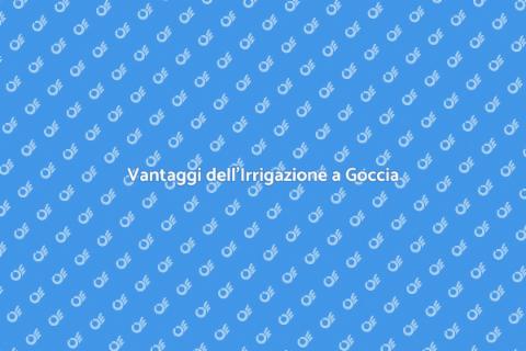 Irrigazione a Goccia per Frutteti