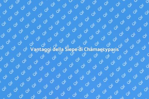 Piantare una Siepe di Chamaecyparis