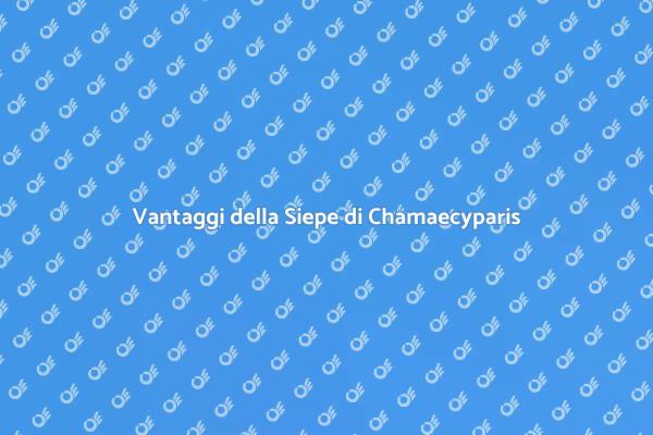 Come Piantare una Siepe di Chamaecyparis