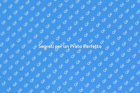 Mantenere un Prato Sano e Rigoglioso