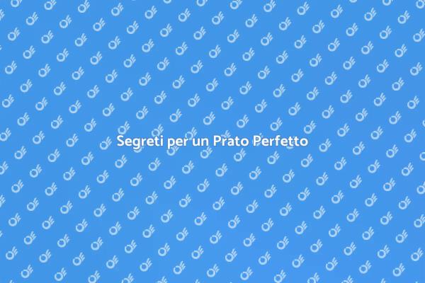 Come Avere un Prato Sano