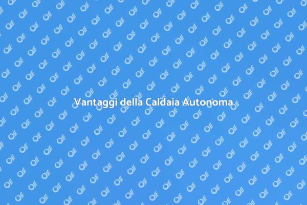 Caldaia Autonoma: Comfort e Efficienza