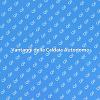 Caldaia Autonoma: Comfort e Efficienza