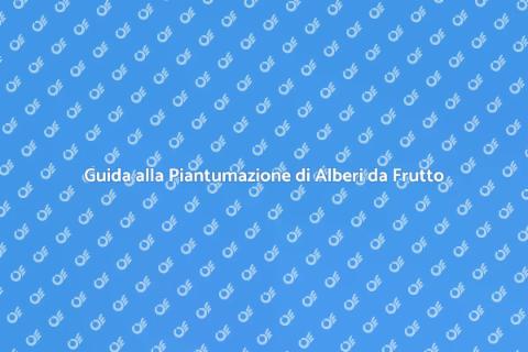 Alberi da Frutto: Pianta il Tuo Giardino
