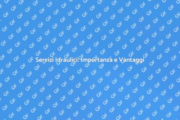 L'importanza dell'Idraulico Professionista