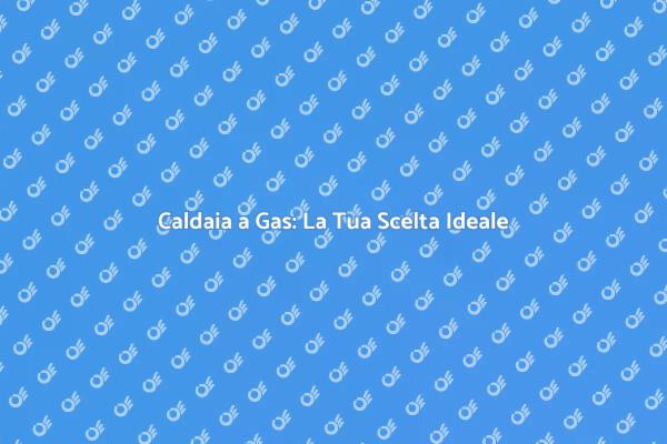 Caldaia a Gas: Comfort e Calore in Casa