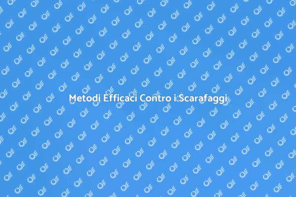 Liberati dei Scarafaggi in Casa