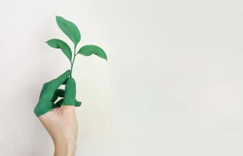 7 consigli per rendere eco-sostenibile il tuo business