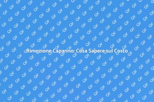 Rimozione Capanno: Prezzi e Fattori Chiave