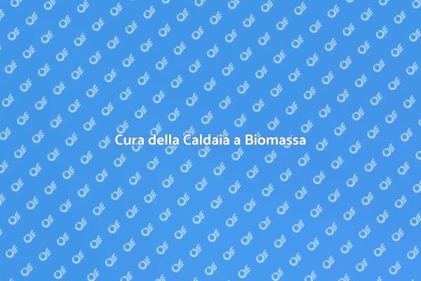 Come Manutenere la Caldaia a Biomassa