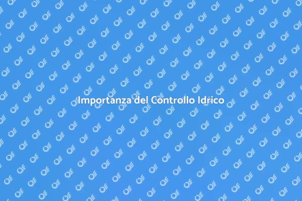 Controllo Idrico: Fondamentale per gli Edifici