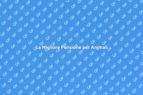 Pensione per Animali: Amore e Cura