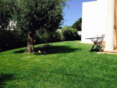 Il Giardino dei Sogni  - Foto 3