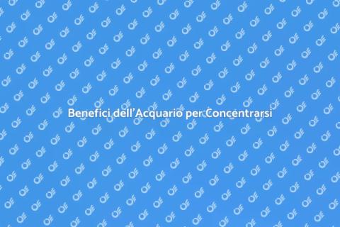 Acquario per la Concentrazione