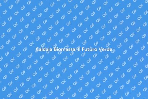 Caldaia Biomassa: Sostenibilità Futuro