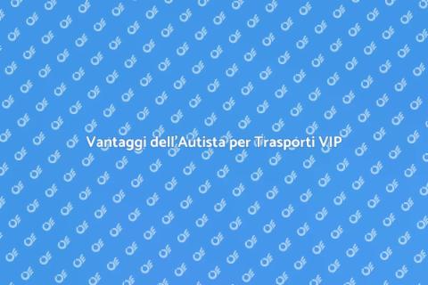Autista per Servizi di Trasporto VIP