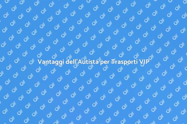 Perché Scegliere un Autista VIP?