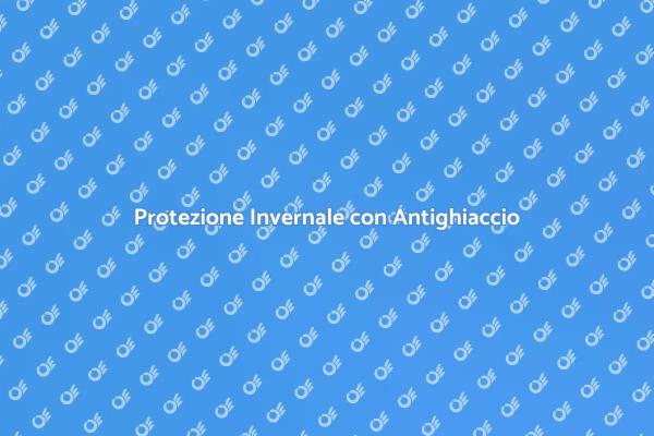 Antighiaccio: Sicurezza per la tua Casa
