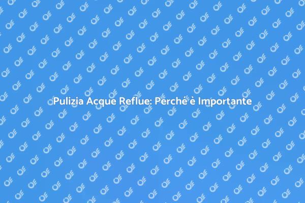 Pulizia Acque Reflue: Servizio Necessario