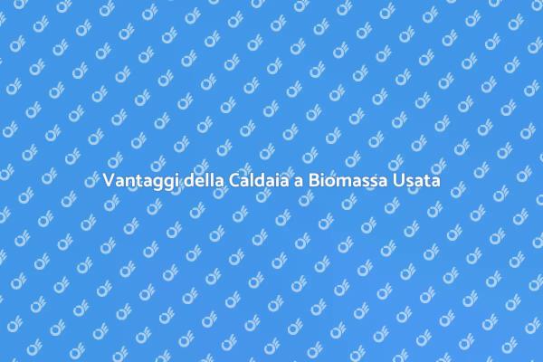 Caldaia a Biomassa: Risparmio e Eco-sostenibilità