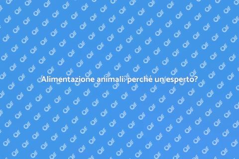 Nutrizione animali: l'aiuto esperto