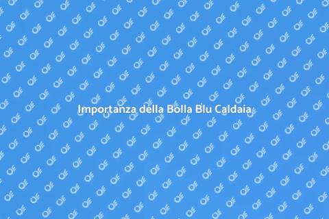 Bolla Blu Caldaia Annuale: Guida Completa