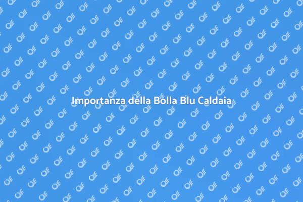 La Guida alla Bolla Blu Caldaia