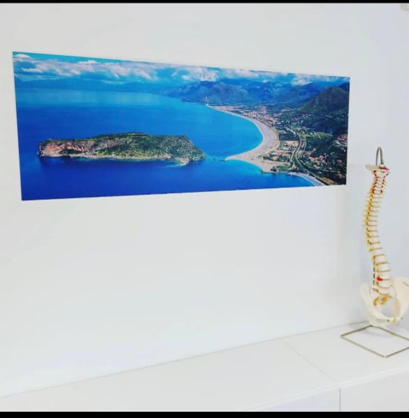 Fisioterapia - Foto 2