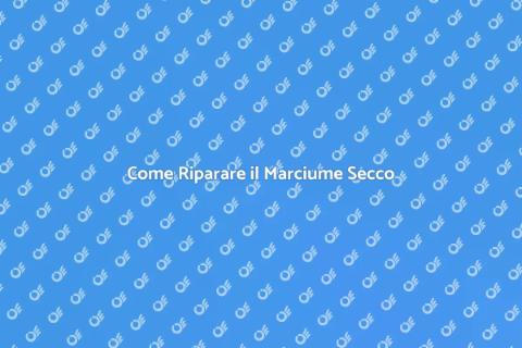 Riparare il Marciume Secco in Casa