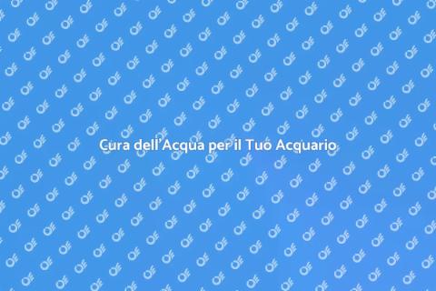 Acqua per l'acquario: Guida Essenziale