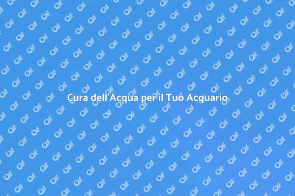 Fondamenti dell'Acqua per Acquari