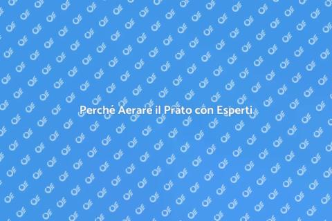 Aerazione Prato: Importanza e Vantaggi