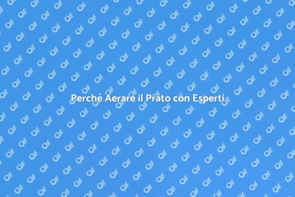 Aerazione del Prato: Perché Scegliere un Esperto