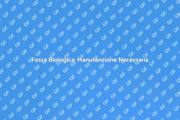 Manutenzione Fossa: Perché è Fondamentale