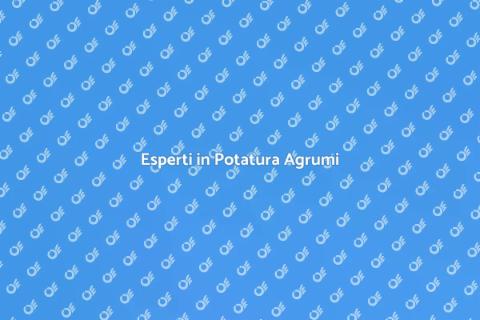 Consulenza Potatura Agrumi Professionale