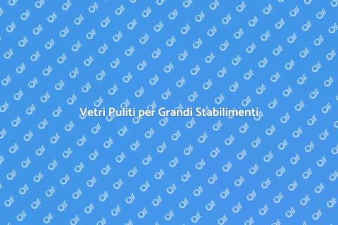 Pulizia Vetri Grandi Stabilimenti