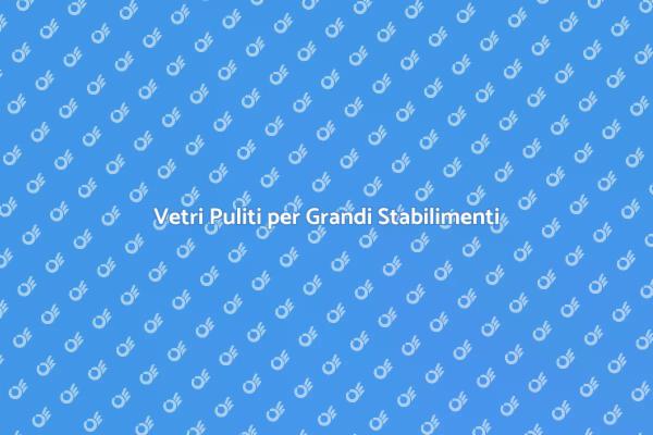 Pulizia Professionale dei Vetri